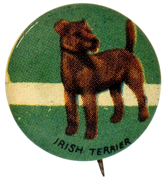 IRISH TERRIER DOG FROM 1930s ISSUED SET OF 35 BUTTONS.