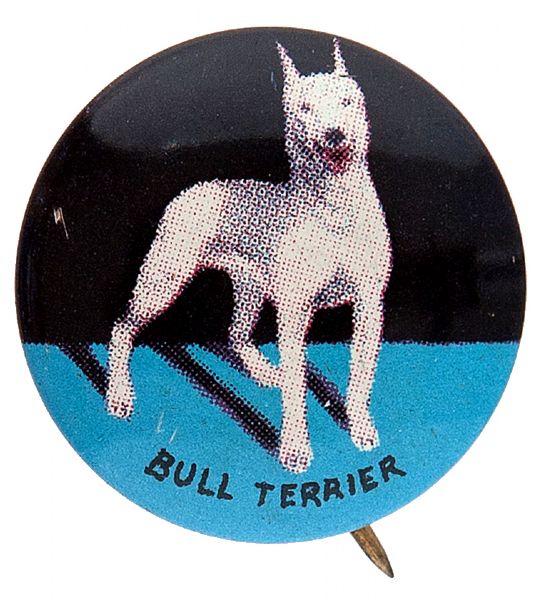 “BULL TERRIER” DOG BUTTON FROM 1930s SET OF BREEDS.   