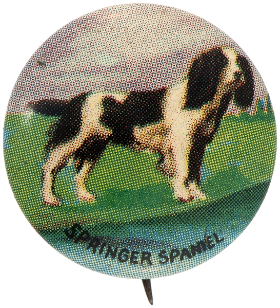 “SPRINGER SPANIEL” LITHO DOG BUTTON FROM 1930s SET OF 35 BREEDS.