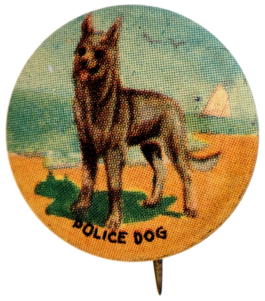 POLICE DOG FROM 1930s ISSUED SET OF 35 BUTTONS.