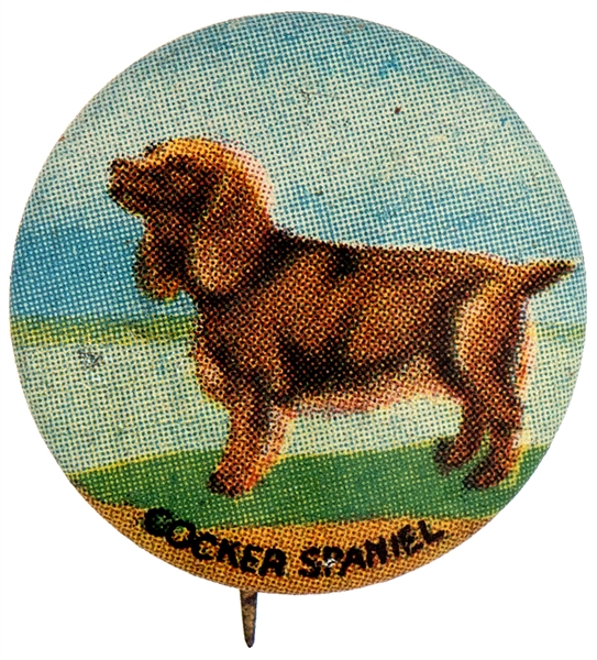 COCKER SPANIEL DOG FROM 1930s ISSUED SET OF 35 BUTTONS.