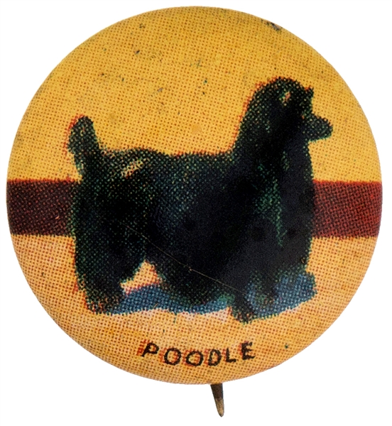 POODLE DOG FROM 1930s ISSUED SET OF 35 BUTTONS.