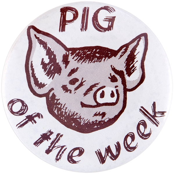 PIG OF THE WEEK ILLUSTRATED BUTTON.